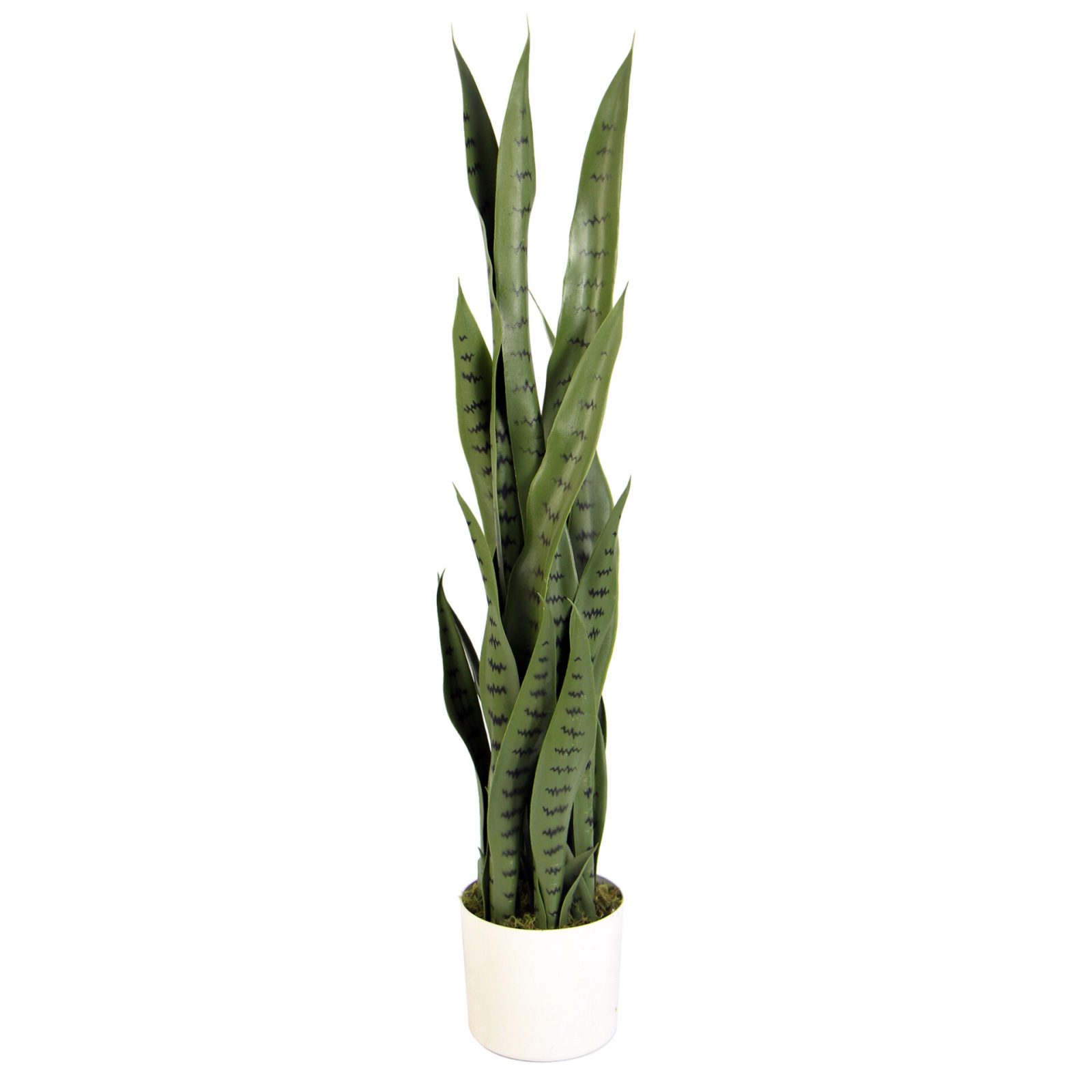 Sansevieria Green 89cm