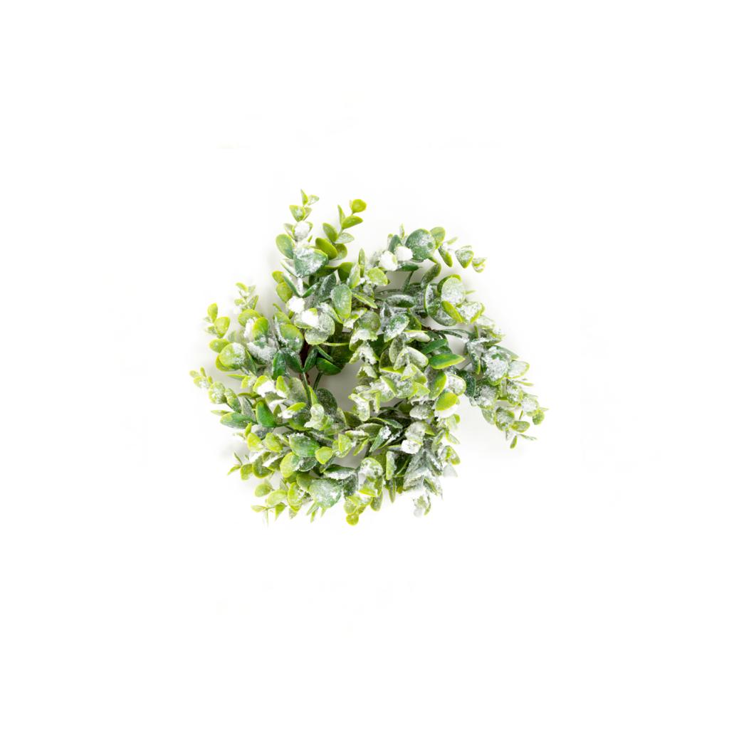 NAVIDAD Small Crown