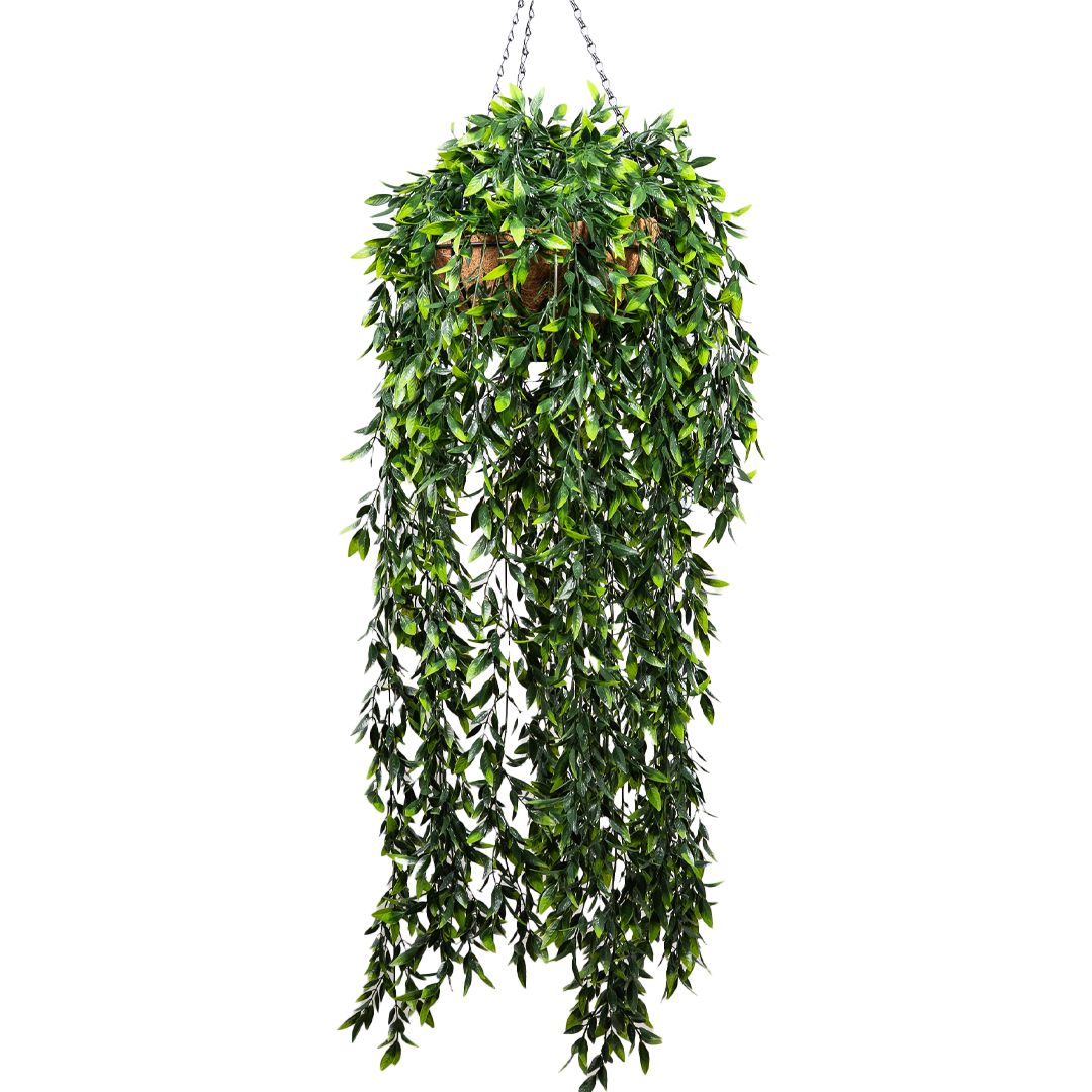 Kokedama Tila